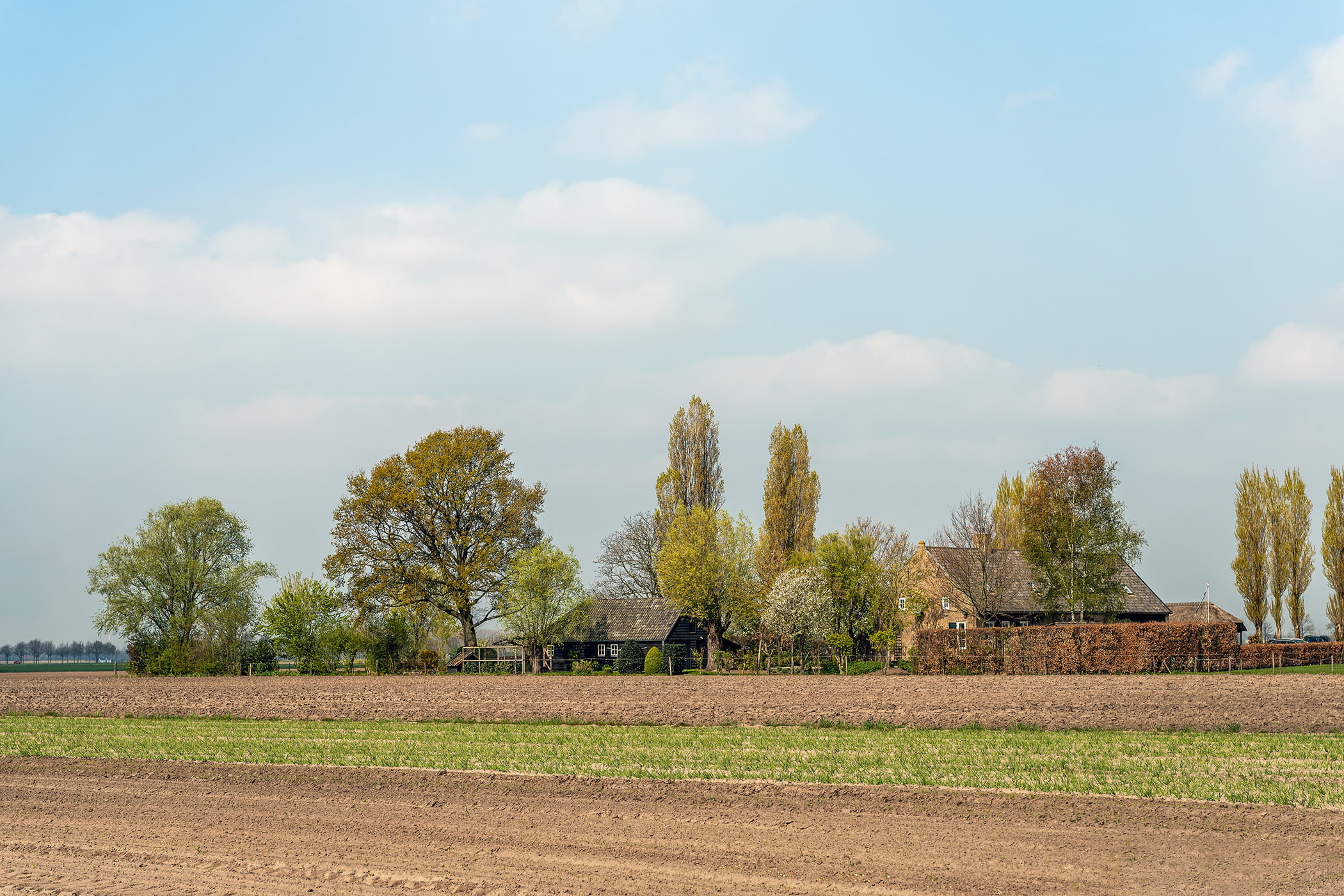 Makelaardij Meeuwis